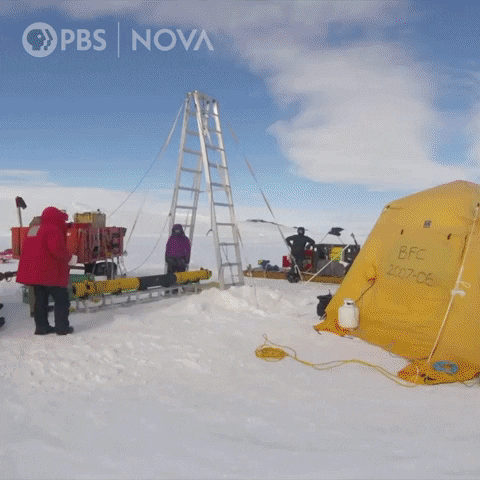 Pbs Biology GIF by WGBH Boston