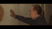 Brian Cox Wall GIF by VVS FILMS