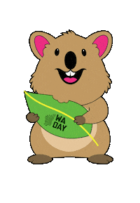 Quokka Westernaustralia Sticker by Celebrate WA