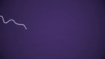 vientosbambu nova saxophone sax bambu GIF