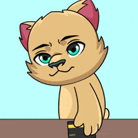 Credit Card Buy GIF by Kabu