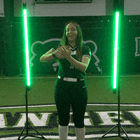 Parkside Softball GIF by Parkside Athletics