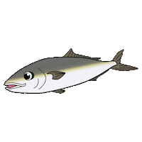 Fish Sticker by harimitsu