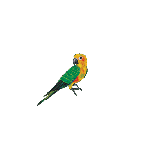 sofi tukker bird Sticker by The Knocks