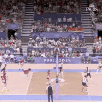 Olympic Games Sport GIF by NBC Olympics