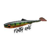 Catch And Release Berlin Sticker by Finity Fishing