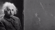 Albert Einstein Universe GIF