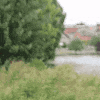 bvroding beer bier roding bvroding GIF