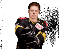 Del2 Seidenstadt Sticker by Krefeld Pinguine