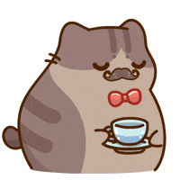 Cats Teacat GIF by Bichi Mao