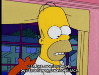 homer simpson GIF