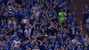 Veltins Arena Football GIF by FC Schalke 04