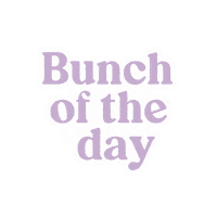 pocoposyflorist pocoposy bunch of the day Sticker