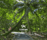 Moments Wanderlust GIF by Fernsinn Welt - ReiseBeratung Anja Horn