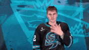 Cant See Me John Cena GIF by San Jose Barracuda