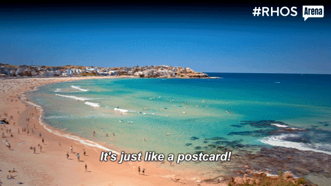 rhos GIF by Real Housewives of Sydney