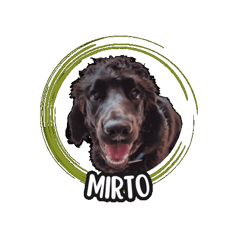 Cocker Spaniel Sticker by Asilo per cani Dog'sMind