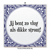 Humor Wijsheid GIF by Tegelspreuken.nl