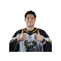 goheartlanders hunter jones Sticker