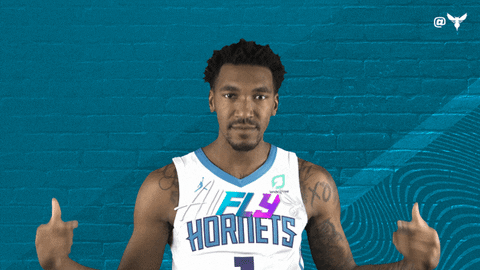 Malik Monk Sport GIF by Charlotte Hornets