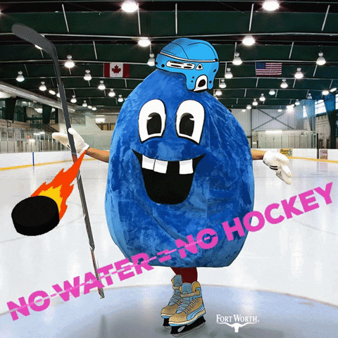 Stay Hydrated Ice Hockey GIF by Fort Worth Water
