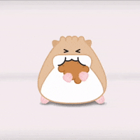 Sorry Not Sorry Whatever GIF by hamsta.world