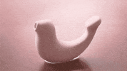 OSUGA animation seal spa bath GIF