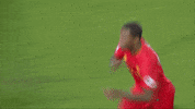 lfc first kit GIF by Liverpool FC