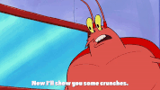 season 9 GIF by SpongeBob SquarePants