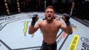 Ragnar Lodbrok Rafael GIF
