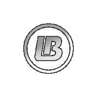 Limebug volkswagen beetle airride aircooled Sticker