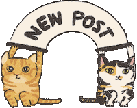 Calico Cat New Post Sticker