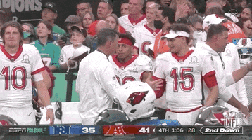 National Football League GIF by NFL
