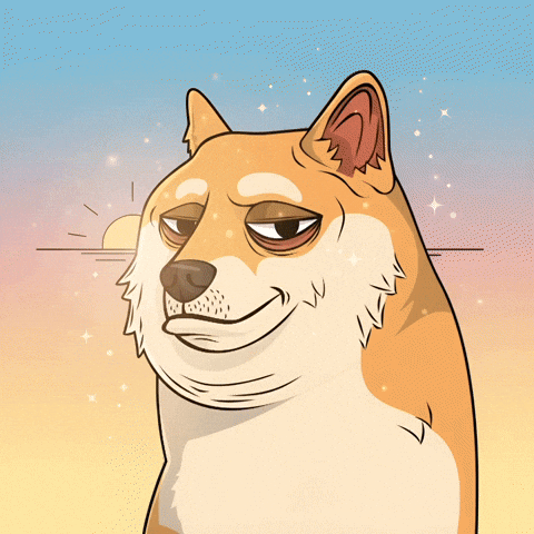 Good Morning Dog GIF by Doge Pound