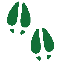 Tule Elk Ocean Sticker by Resource Renewal Institute