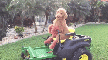 sexy gardener GIF