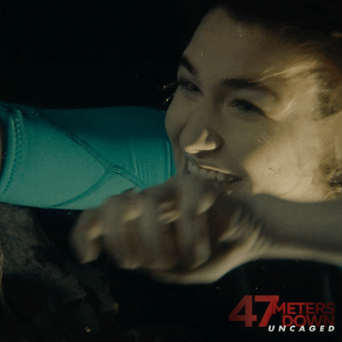 Scared GIF by 47 Meters Down Uncaged