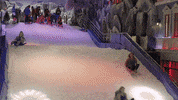 cbs funny polar bear the amazing race sled GIF