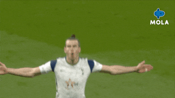 Happy Premier League GIF by MolaTV