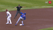 Chicago Cubs Celebration GIF by Marquee Sports Network