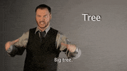 sign language tree GIF by Sign with Robert