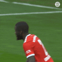 Football Smile GIF by FC Bayern Munich