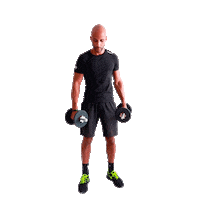 forste workout program curl dumbbell Sticker