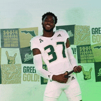 South Florida Horns Up GIF by USF Athletics