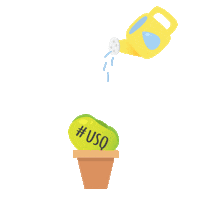 usqedu university study learning growth Sticker