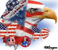 Picture Merica GIF