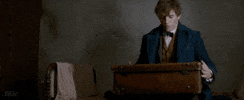 harry potter film GIF