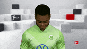 Vfl Wolfsburg Smile GIF by Bundesliga