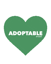 Adopt Animal Rescue Sticker by Humane Society of North Texas