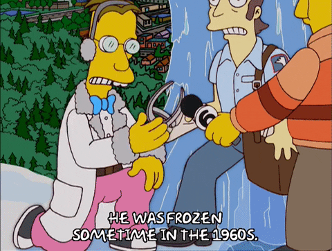 the simpsons episode 10 GIF